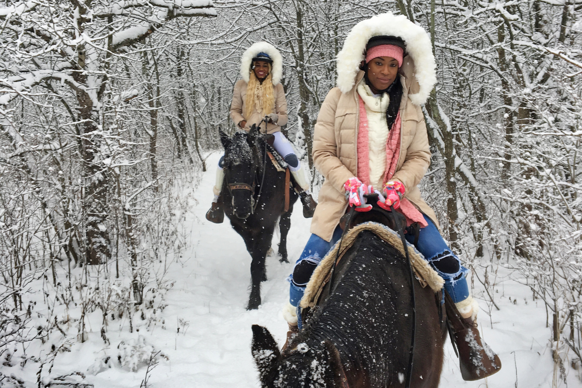 Niagara Riding Stables