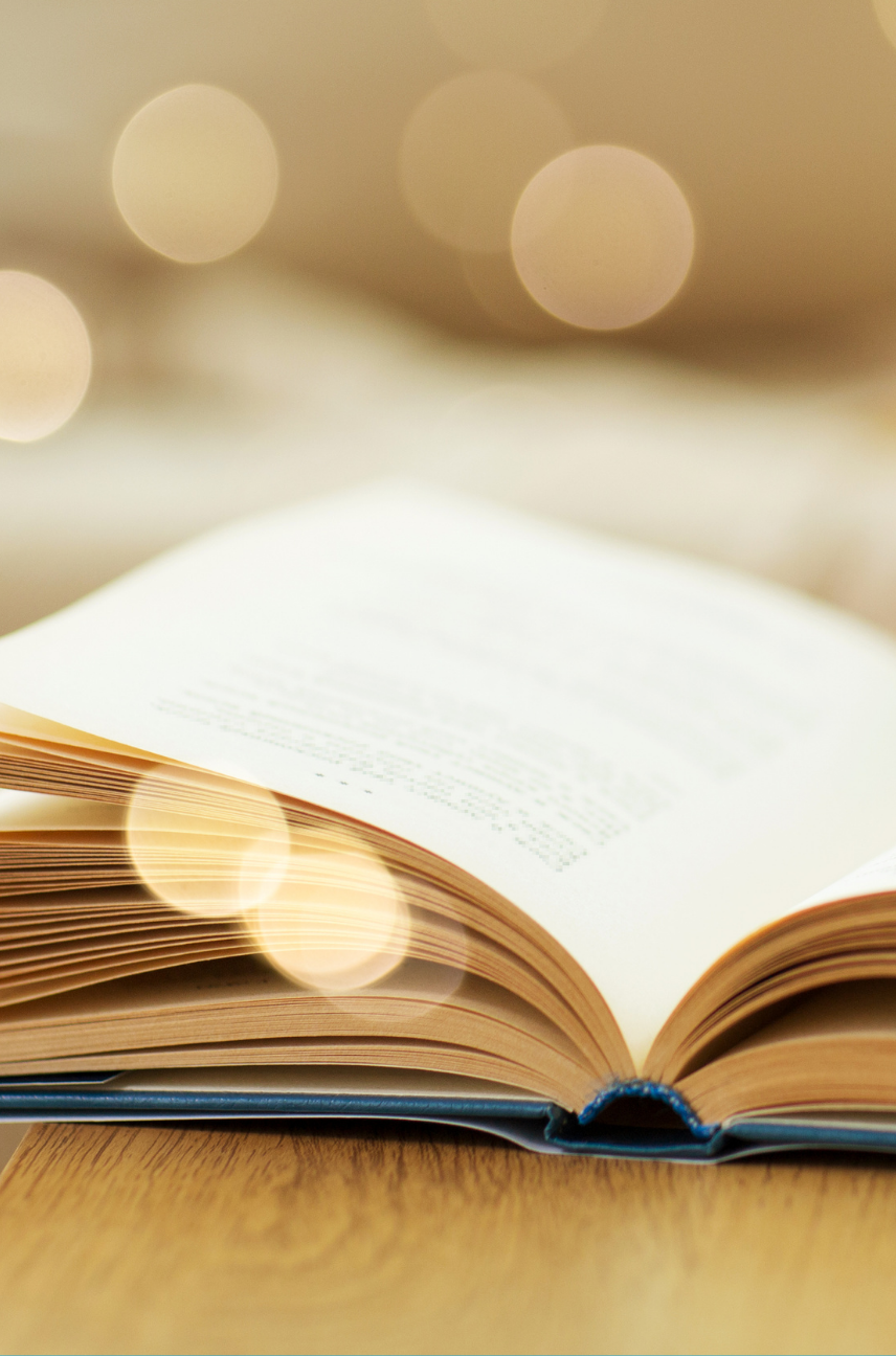 Coast to Coast Literary Series Canada's Literary Women - Jeanette Lynes, The Paper Birds