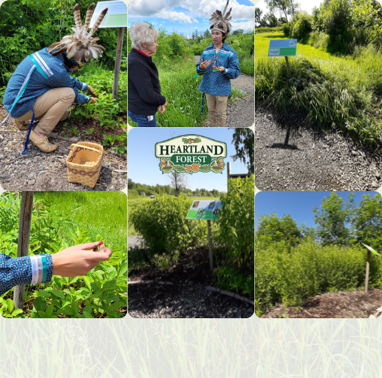 Indigenous Friendship Garden Opening Ceremony 